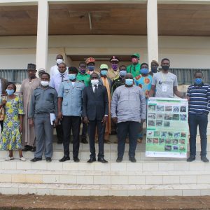 Mbam Djerem Pangolin Protection Program (The Ngouroumoutou Project)