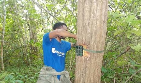 Biometric using camera Trap