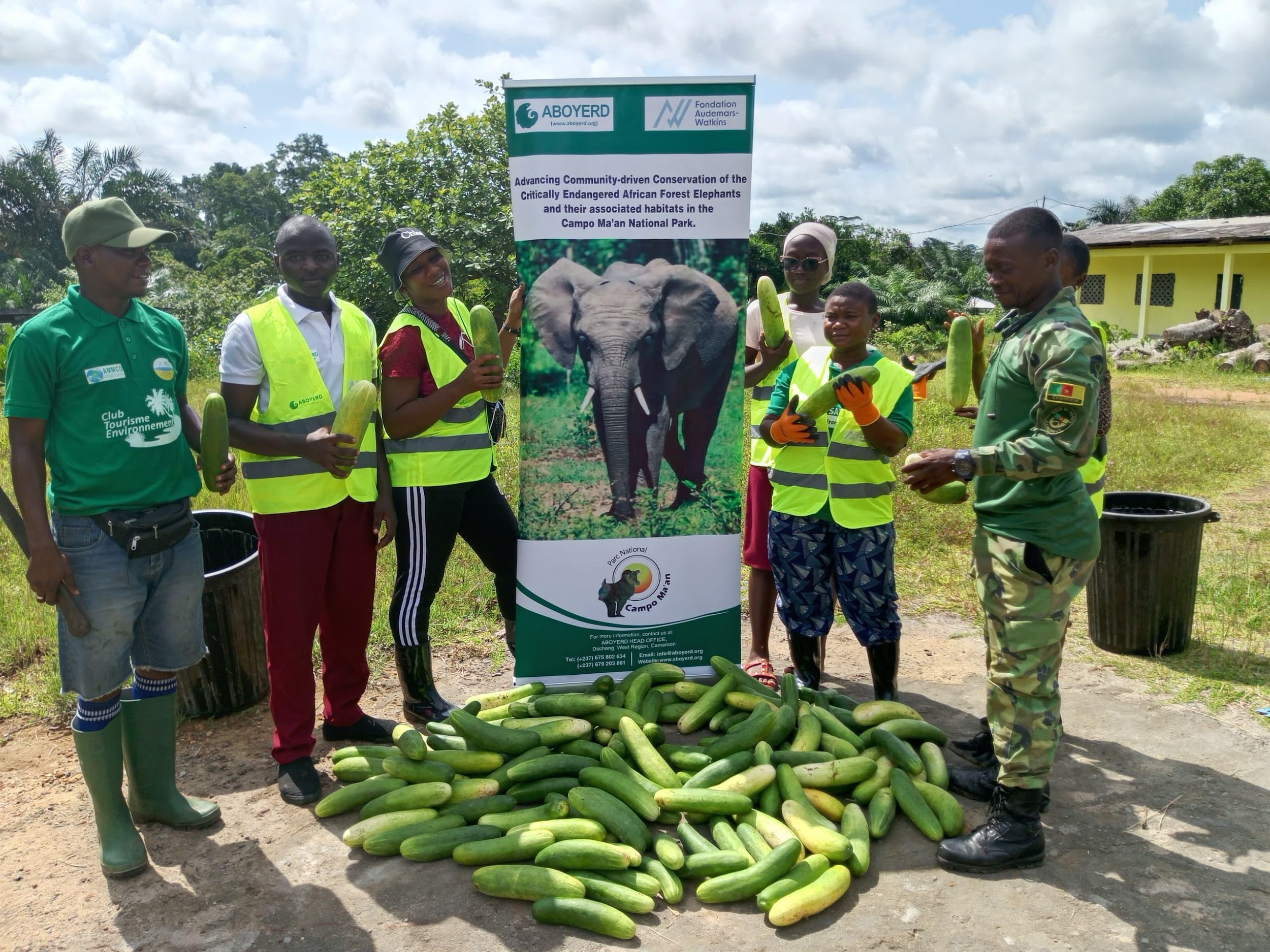 Cucumbers produced by Wildlife Club in Lycée Moderne de Campo