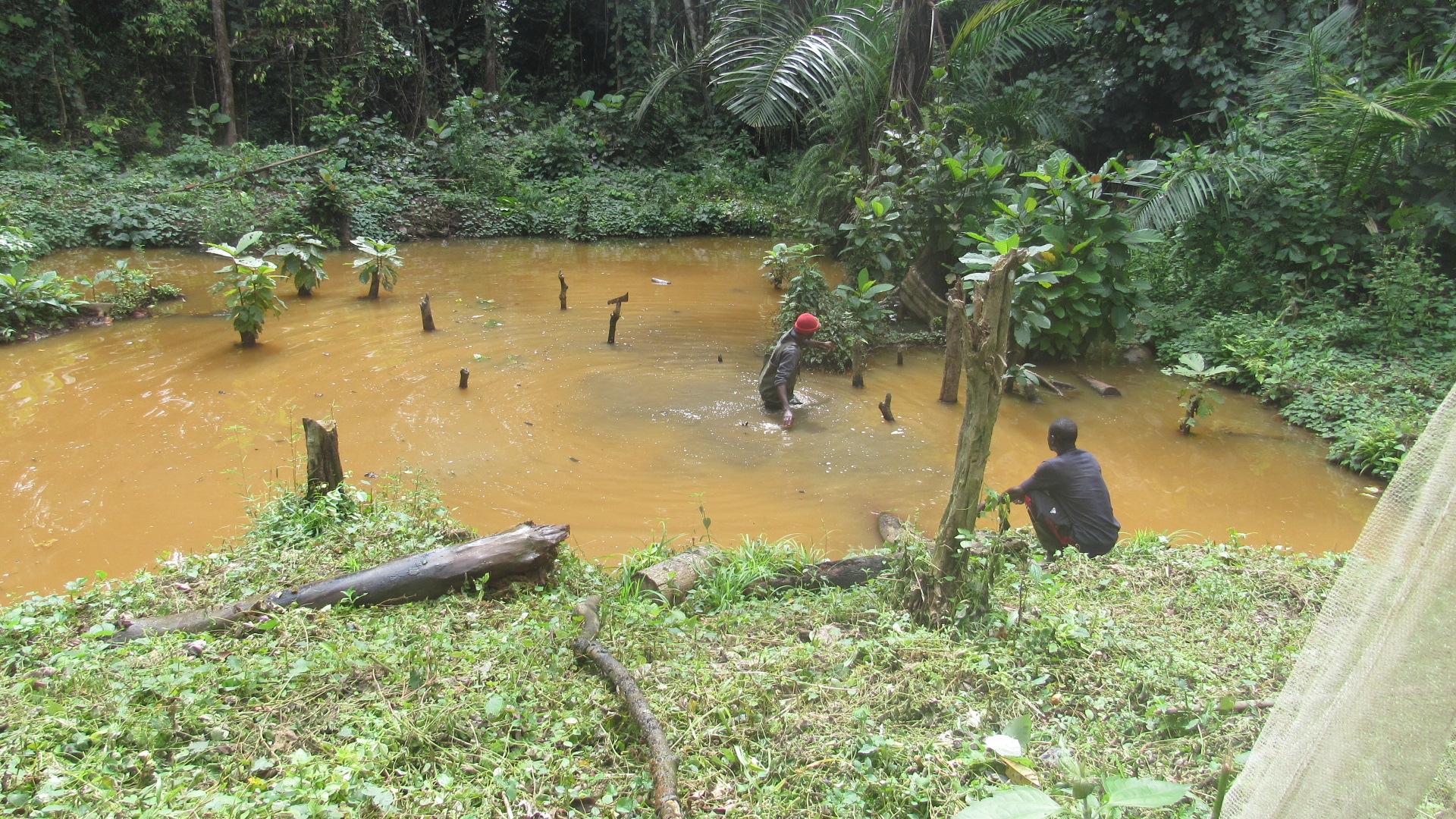 Environmental Education Center in Ngoum 2