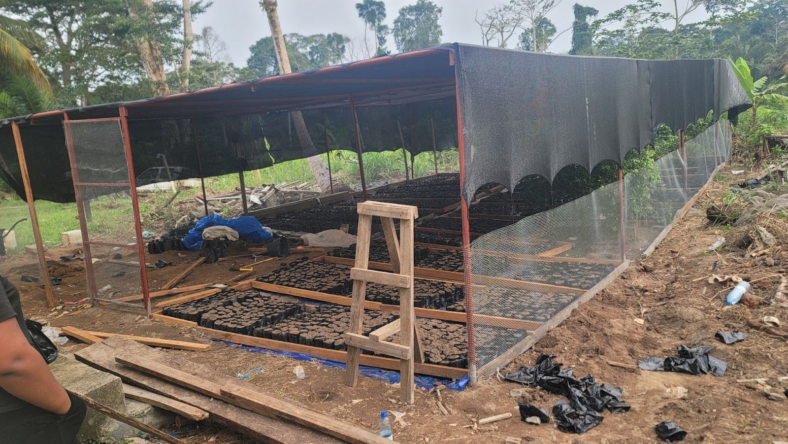 Habitat restoration - ABOYERD (5)