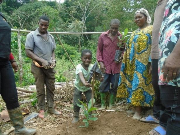 Hectars of degraded Wildlife Habitats restored