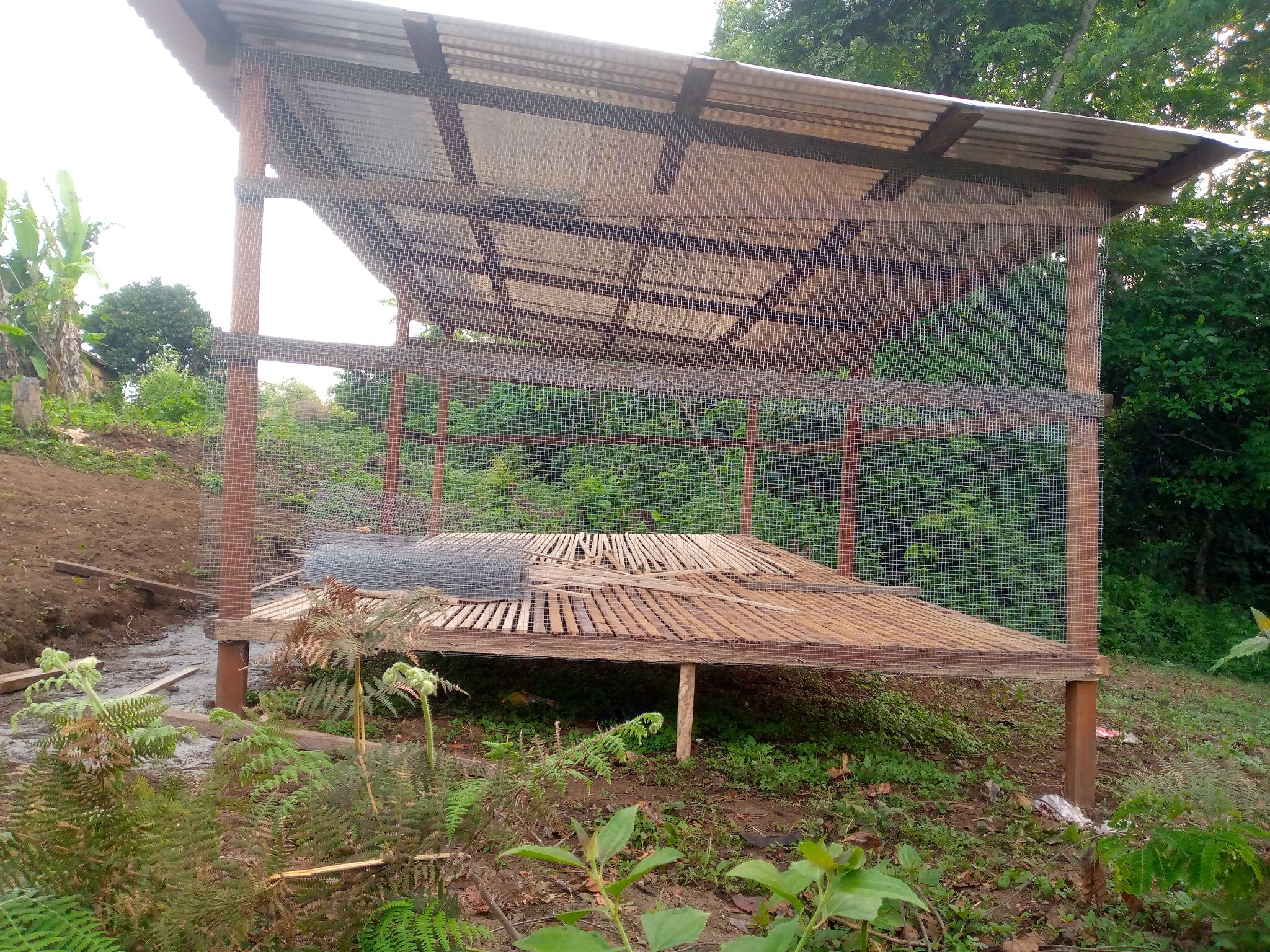 Setting up of Pilot demonstration farm for Poultry Farming in Ngoum Village