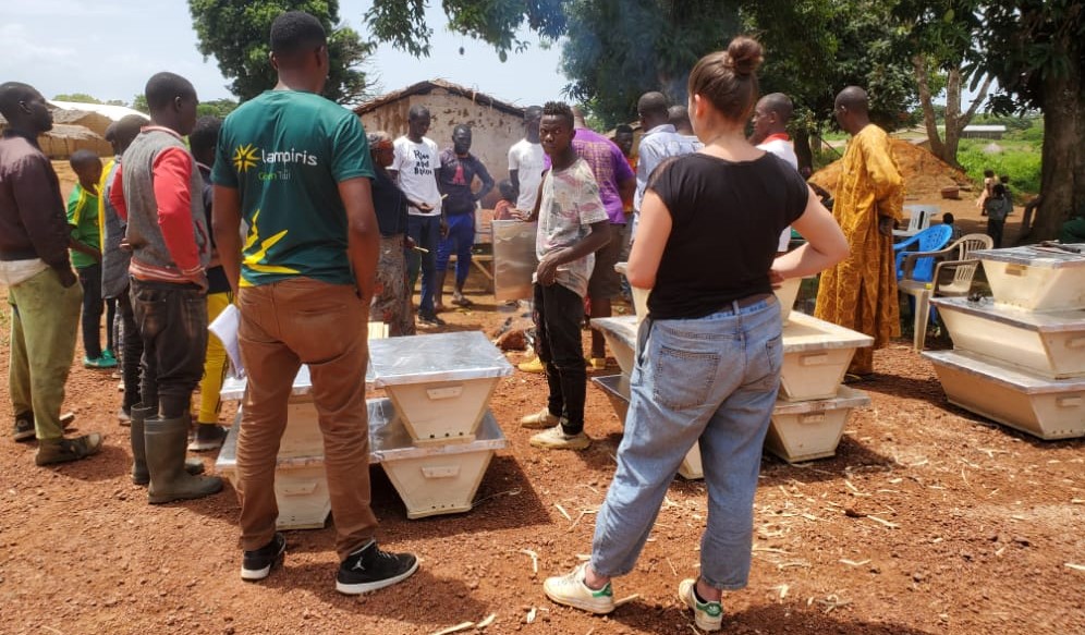 -Valorization of Honey Green Value Chain